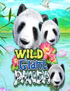 โหลด โจ๊ก เกอร์ เกมส์ ทดลองเล่น แหล่งสนุกที่ไม่ควรพลาด